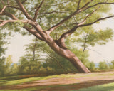 Leaning Tree -  John Folchi - McGaw Graphics