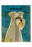 Schnauzer