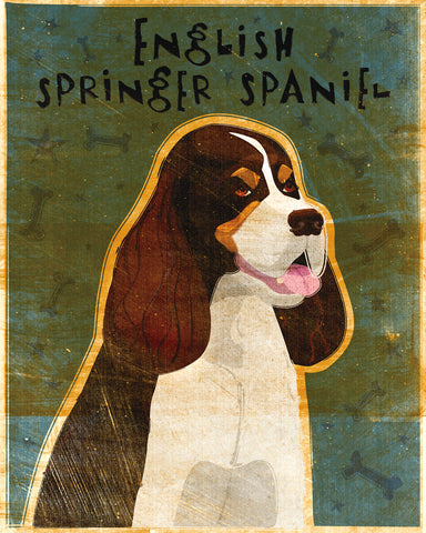 English Springer Spaniel (tri-color) -  John W. Golden - McGaw Graphics