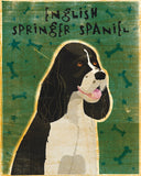 English Springer Spaniel (black and white) -  John W. Golden - McGaw Graphics
