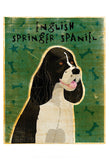 English Springer Spaniel (black and white) -  John W. Golden - McGaw Graphics