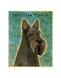 Scottish Terrier -  John W. Golden - McGaw Graphics