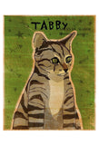 Tabby (grey) -  John W. Golden - McGaw Graphics