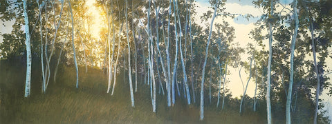 Hillside Birches -  Elissa Gore - McGaw Graphics