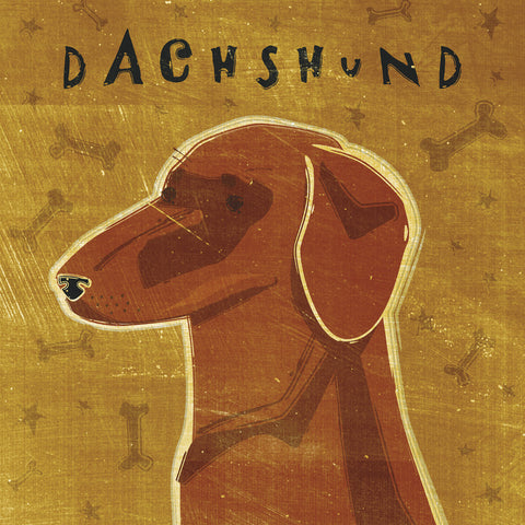 Dachshund (red) (square) -  John W. Golden - McGaw Graphics