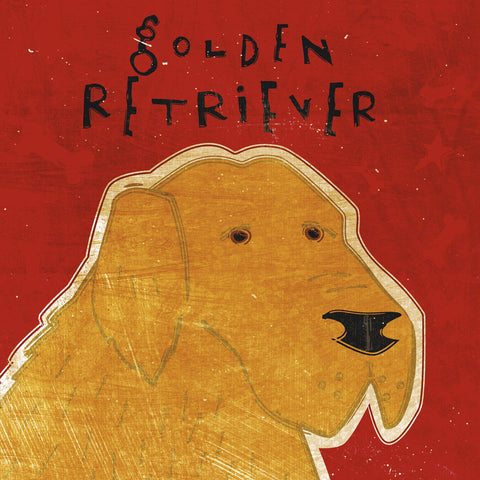 Golden Retriever (square) -  John W. Golden - McGaw Graphics