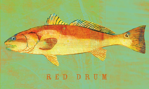 Red Drum -  John W. Golden - McGaw Graphics