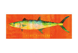 King Mackerel -  John W. Golden - McGaw Graphics