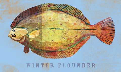 Winter Flounder -  John W. Golden - McGaw Graphics