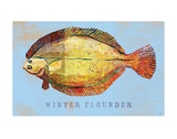 Winter Flounder -  John W. Golden - McGaw Graphics