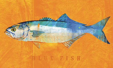 Bluefish -  John W. Golden - McGaw Graphics