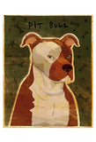 Pit Bull -  John W. Golden - McGaw Graphics