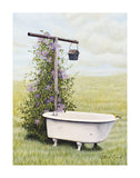 Bird Bath -  Kathleen Green - McGaw Graphics