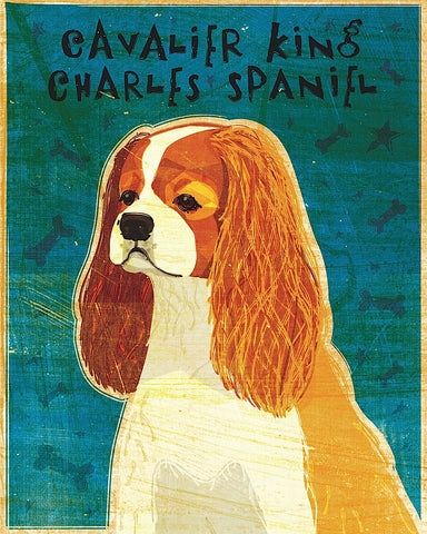 Cavalier King Charles (Blenheim) -  John W. Golden - McGaw Graphics