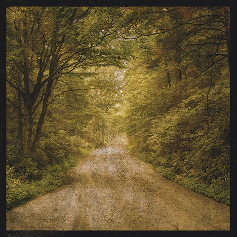Flannery Fork Road No. 1 -  John W. Golden - McGaw Graphics