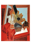 Flowers on the Table -  Juan Gris - McGaw Graphics