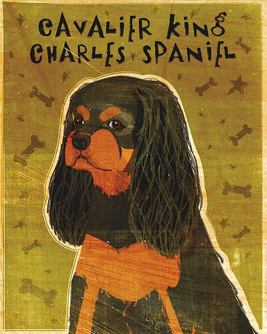 Cavalier King Charles (black and tan) -  John W. Golden - McGaw Graphics