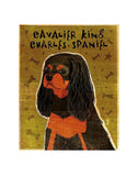 Cavalier King Charles (black and tan) -  John W. Golden - McGaw Graphics