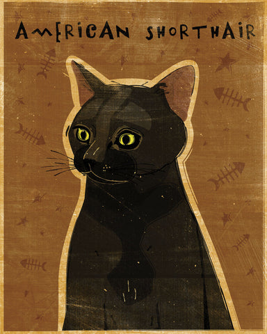 American Shorthair -  John W. Golden - McGaw Graphics