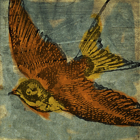 Bird Collage No. 1 -  John W. Golden - McGaw Graphics