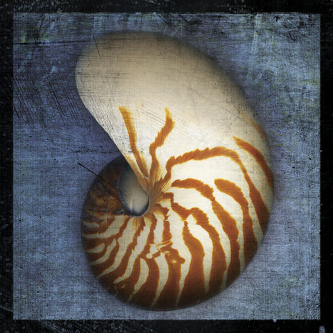 Nautilus -  John W. Golden - McGaw Graphics