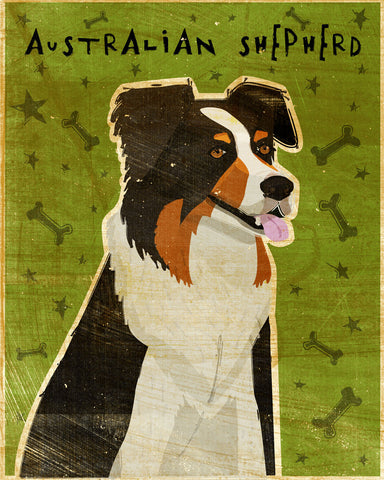 Australian Shepherd -  John W. Golden - McGaw Graphics