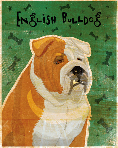 English Bulldog (tan and white) -  John W. Golden - McGaw Graphics
