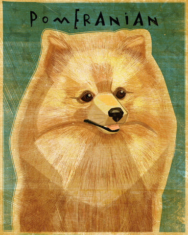 Pomeranian -  John W. Golden - McGaw Graphics