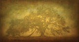 St. Joe Plantation Oak in Fog 3 -  William Guion - McGaw Graphics
