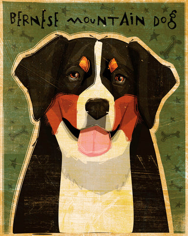 Bernese Mountain Dog -  John W. Golden - McGaw Graphics