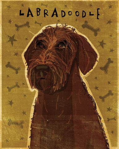 Chocolate Labradoodle -  John W. Golden - McGaw Graphics