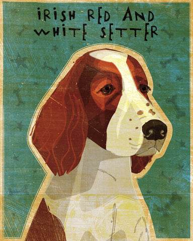 Irish Setter (Red & White) -  John W. Golden - McGaw Graphics