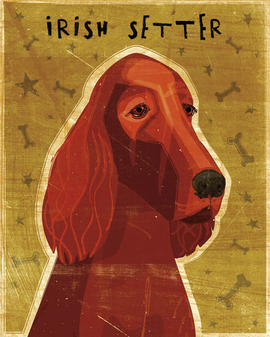 Irish Setter -  John W. Golden - McGaw Graphics