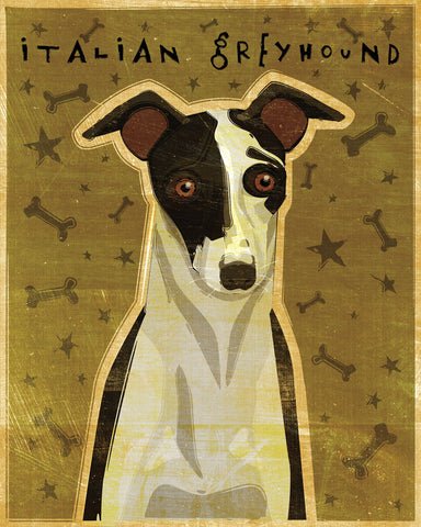 Italian Greyhound (Black & White) -  John W. Golden - McGaw Graphics