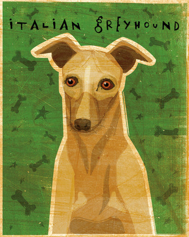 Italian Greyhound (Fawn) -  John W. Golden - McGaw Graphics