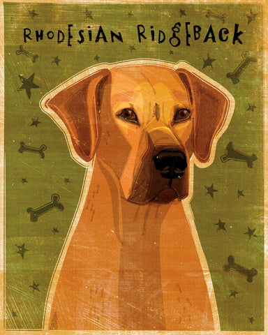 Rhodesian Ridgeback -  John W. Golden - McGaw Graphics
