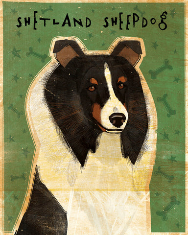 Shetland Sheepdog (Tri-Color) -  John W. Golden - McGaw Graphics