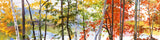 Autumn Lake II -  Elissa Gore - McGaw Graphics
