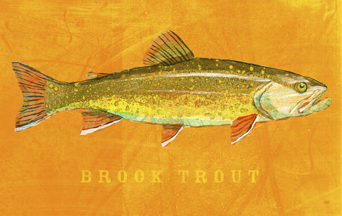 Brook Trout -  John W. Golden - McGaw Graphics
