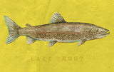 Lake Trout -  John W. Golden - McGaw Graphics