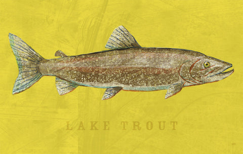 Lake Trout -  John W. Golden - McGaw Graphics