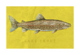 Lake Trout -  John W. Golden - McGaw Graphics