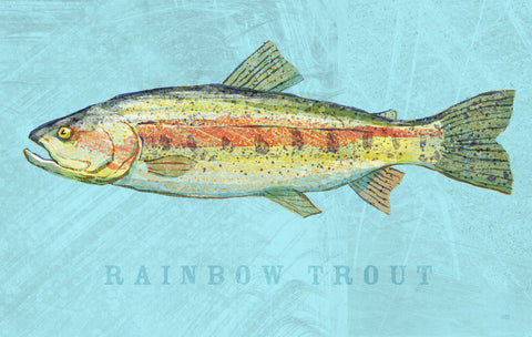 Rainbow Trout -  John W. Golden - McGaw Graphics