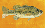 Largemouth Bass -  John W. Golden - McGaw Graphics