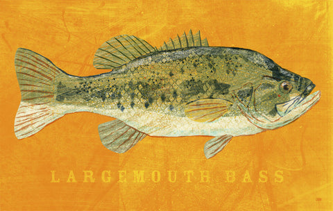 Largemouth Bass -  John W. Golden - McGaw Graphics