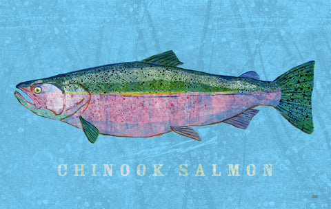 Chinook Salmon -  John W. Golden - McGaw Graphics