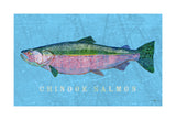 Chinook Salmon -  John W. Golden - McGaw Graphics