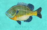 Bluegill -  John W. Golden - McGaw Graphics