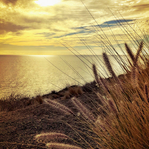 Oceanscape PCH