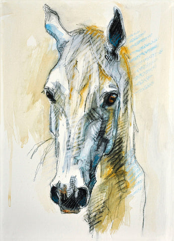 Horse Head -  Benedicte Gele - McGaw Graphics